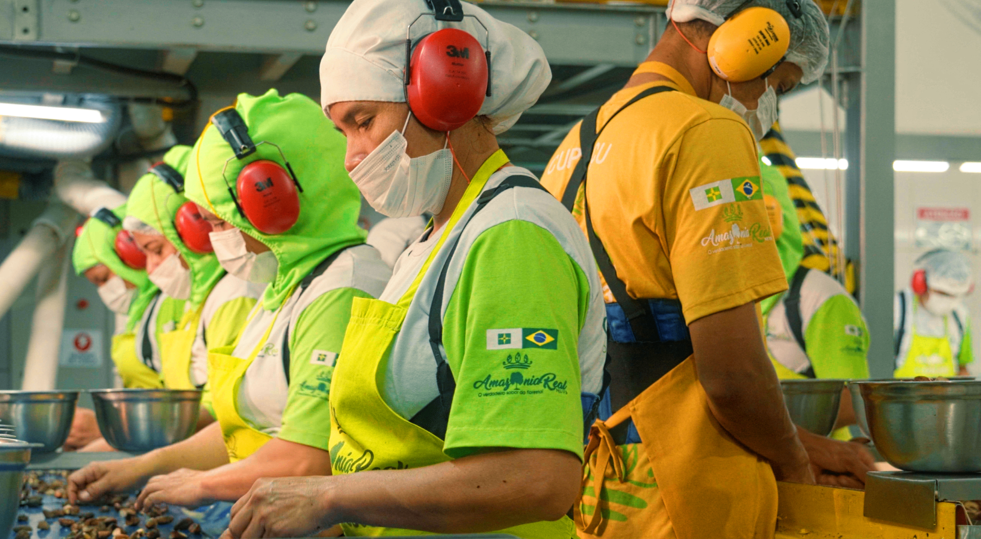 Equipe de colaboradoras na esteira de seleção de castanhas
