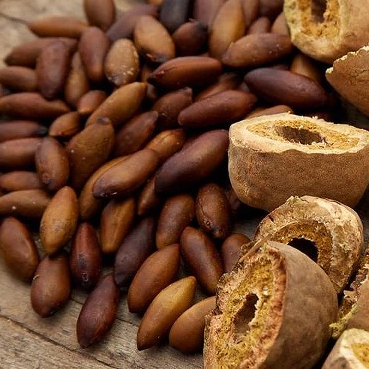 Castanhas de baru torradas com casca