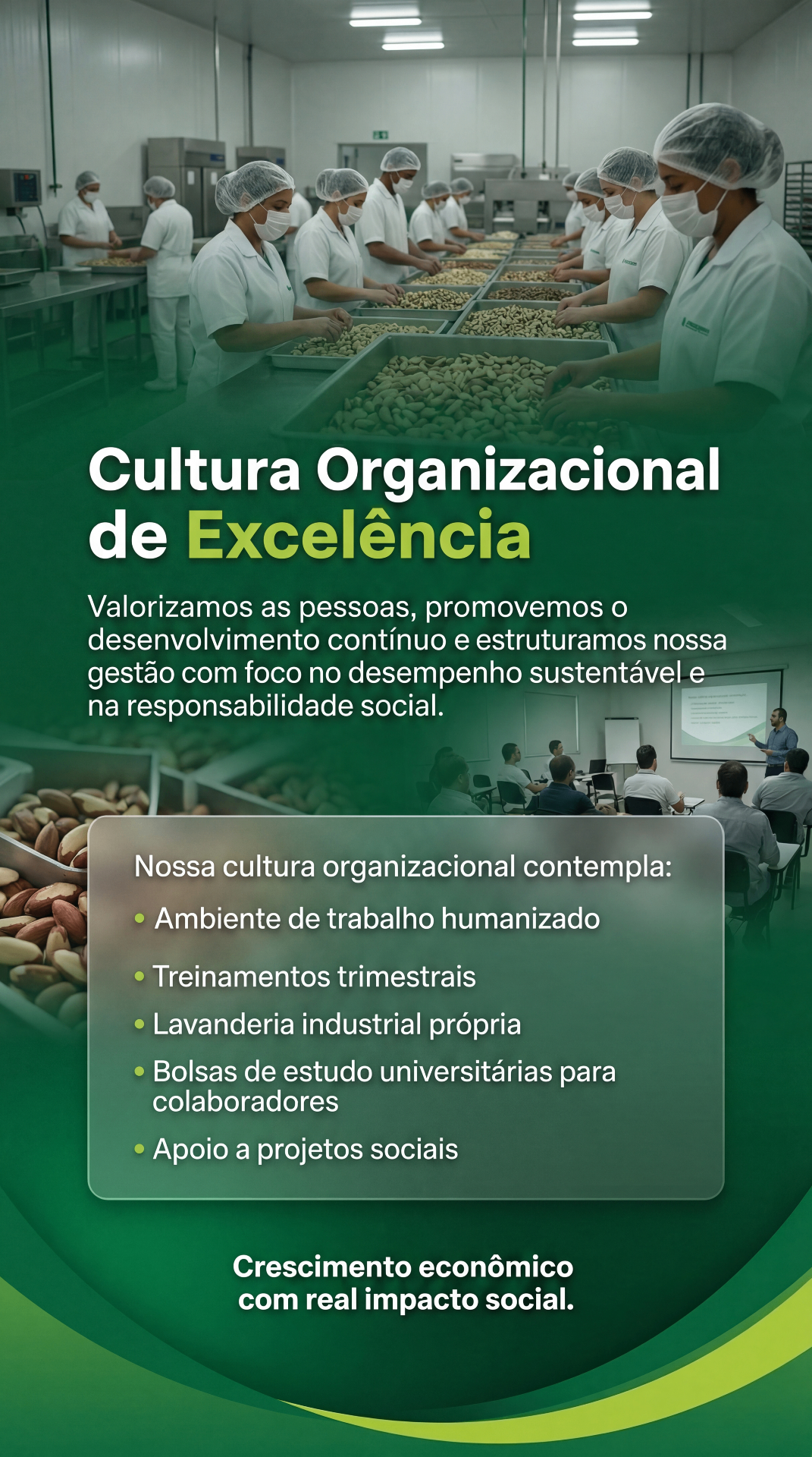 Tecnologia no beneficiamento de castanhas: padrão de exportação
