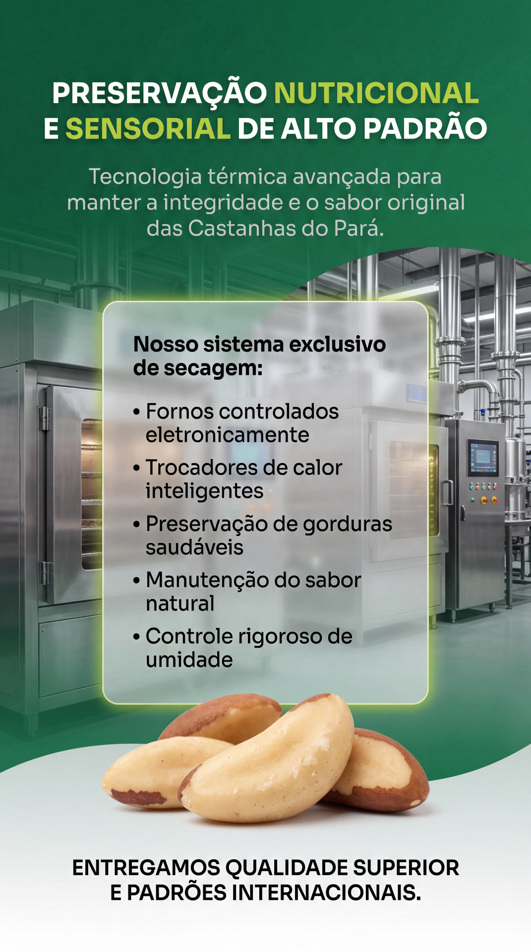 Castanha de baru: para que serve e por que está em alta
