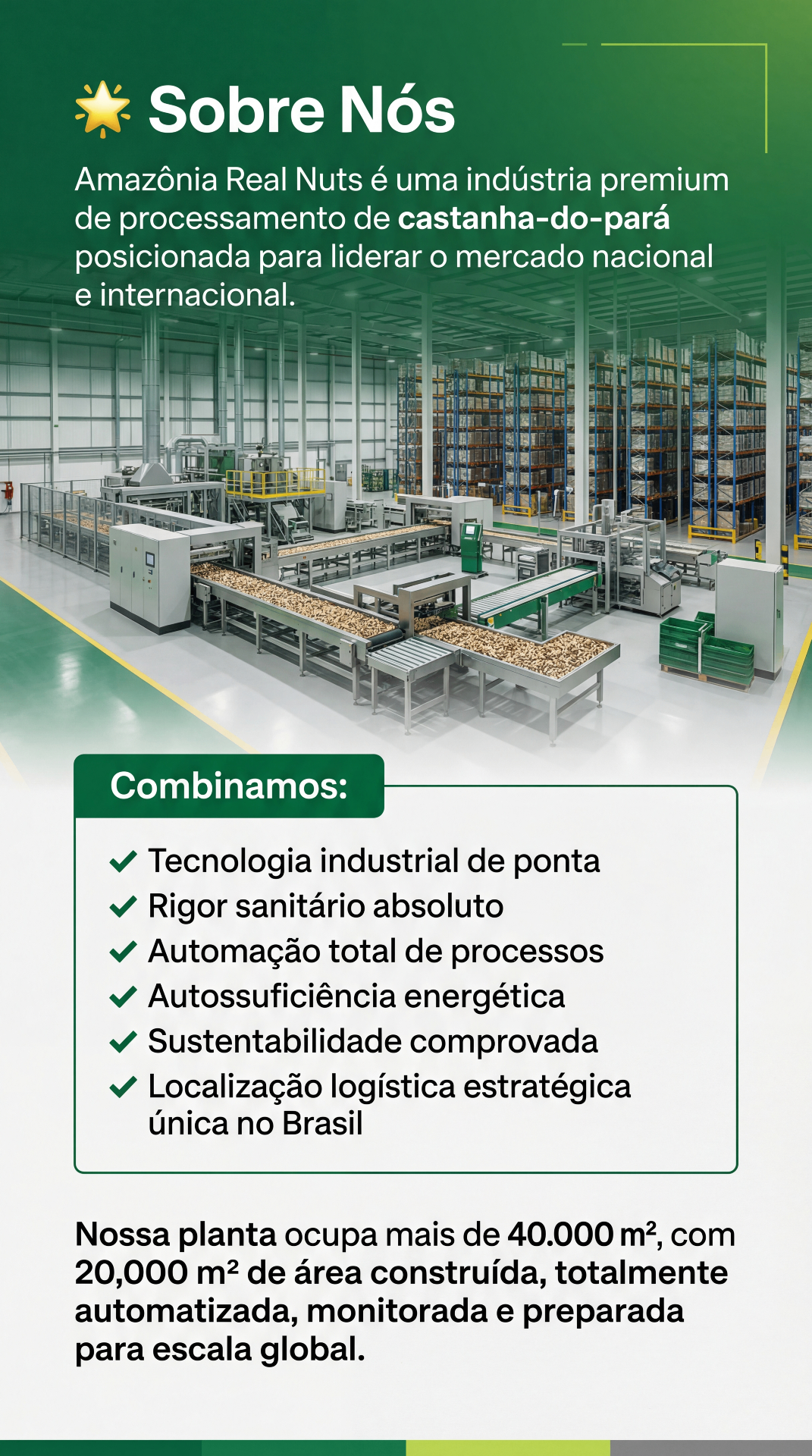 Benefícios da castanha do pará: o superalimento da Amazônia