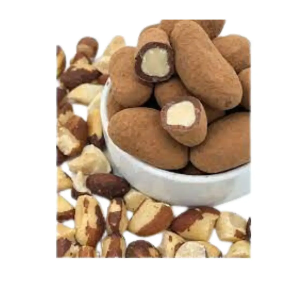 Castanha do Pará Drageada com Chocolate Belga Meio Amargo